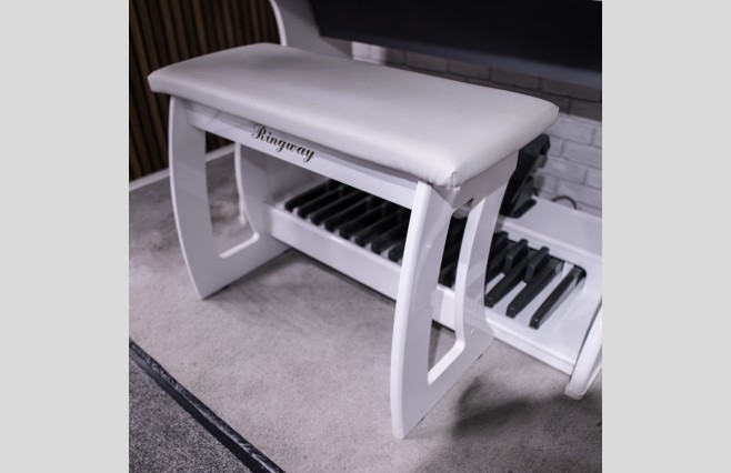 Ringway RS1000EU White Organ, Used - All Inclusive Top Grade Package (SN:020534748) - Image 11